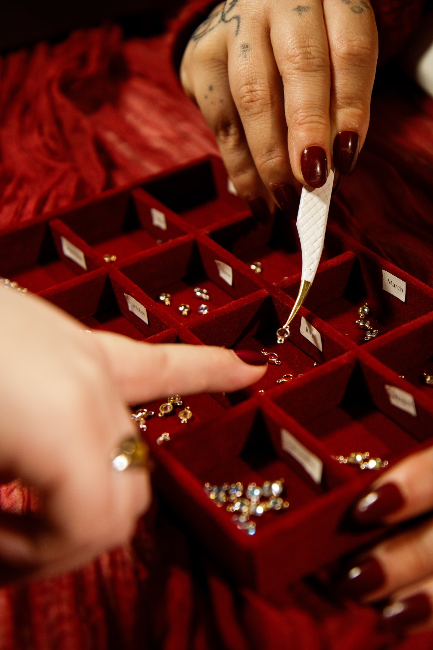 An Evening With ELSEE - EVENING 5pm-8pm